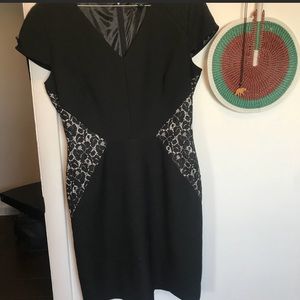 Black Dress, Lace Panels, Tahari 6 Petite V Neck